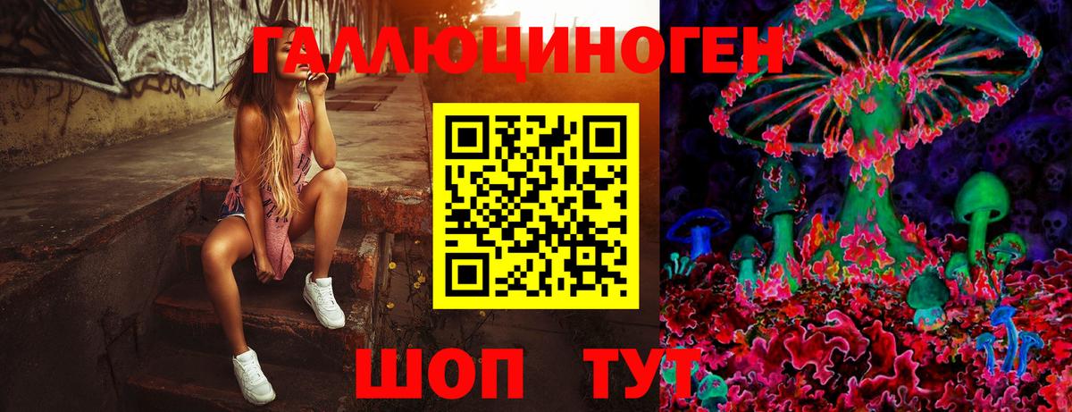 Псилоцибиновые грибы Cubensis Реутов