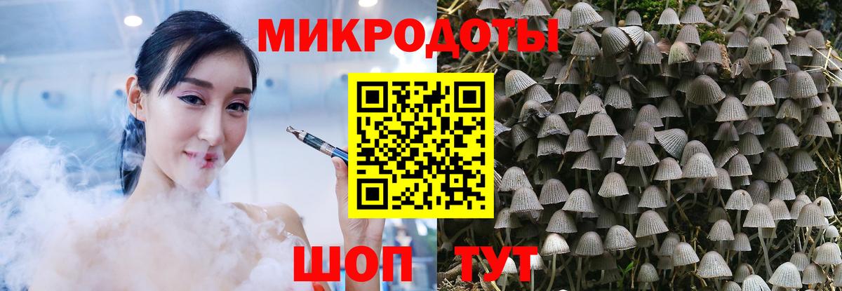 Псилоцибиновые грибы MAGIC MUSHROOMS  закладки  Вход с VPN  Реутов  Псилоцибиновые грибы GOLDEN TEACHER 
